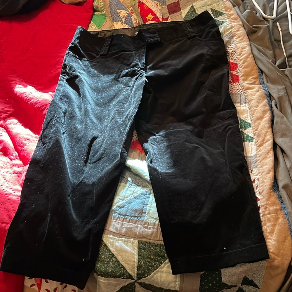 Velvet material. Dressy capris. Double button and zip. Brand is Mossimo.